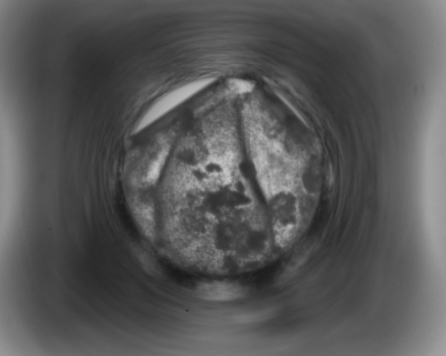 X0000083990503200703091848