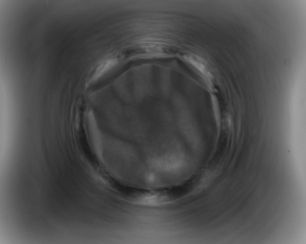 X0000083990504200703091848