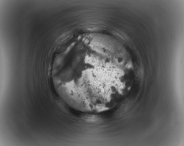 X0000083990507200703091848