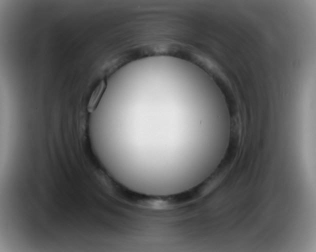 X0000083990509200703091848