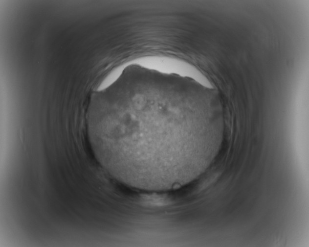 X0000083990511200703091848