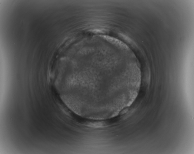 X0000083990513200703091848