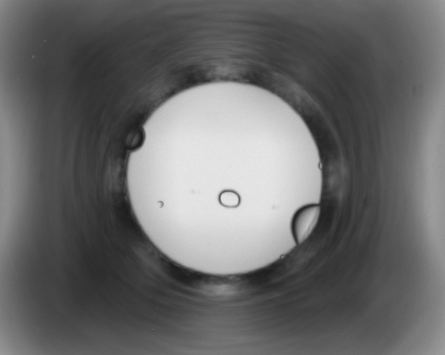 X0000083990514200703091848