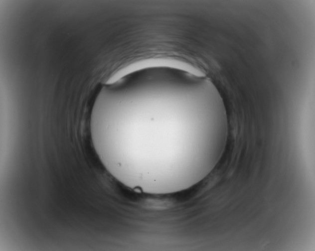 X0000083990515200703091848