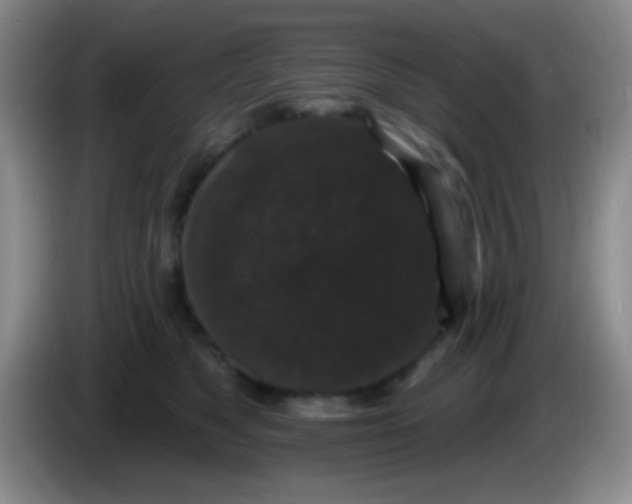 X0000083990517200703091848