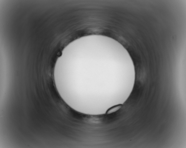 X0000083990518200703091848