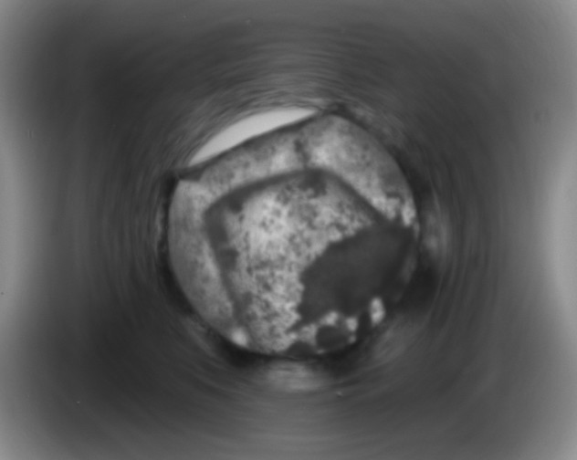 X0000083990519200703091848