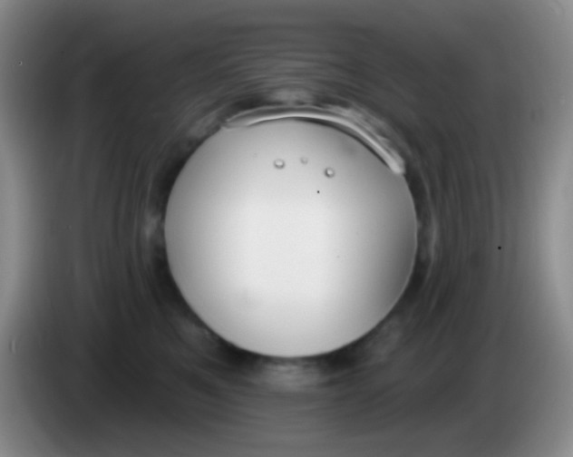 X0000083990521200703091848