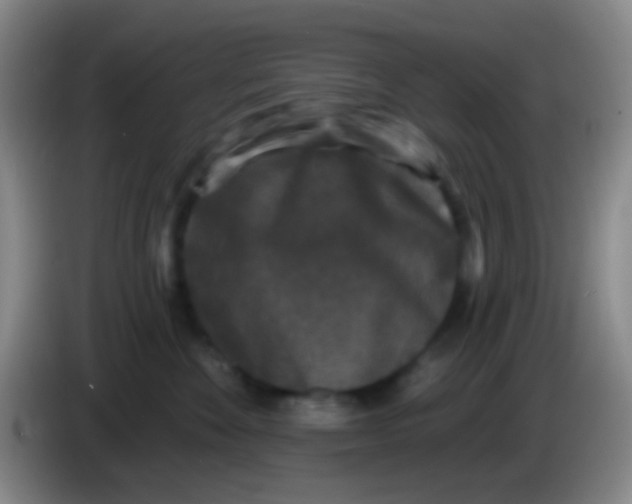 X0000083990524200703091848