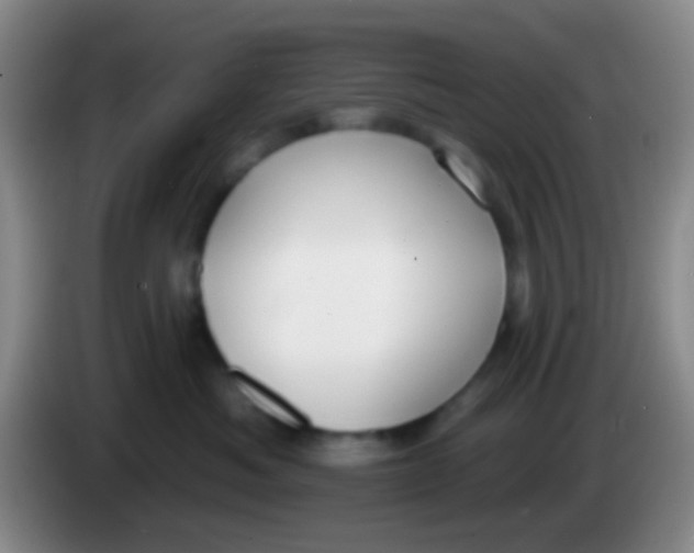 X0000083990525200703091848