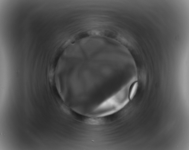 X0000083990526200703091848