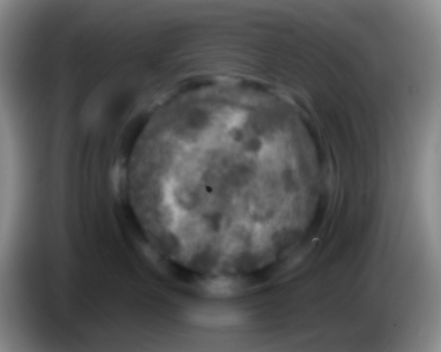 X0000083990527200703091848