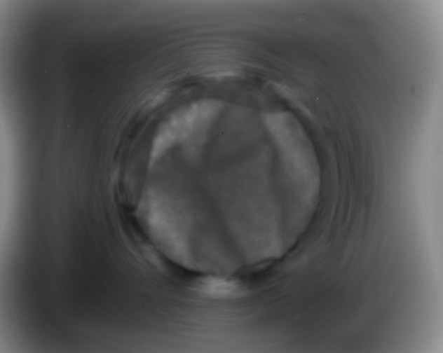 X0000083990528200703091848