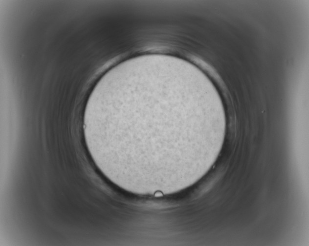 X0000083990529200703091847