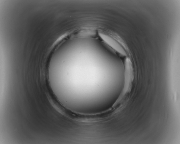 X0000083990530200703091847