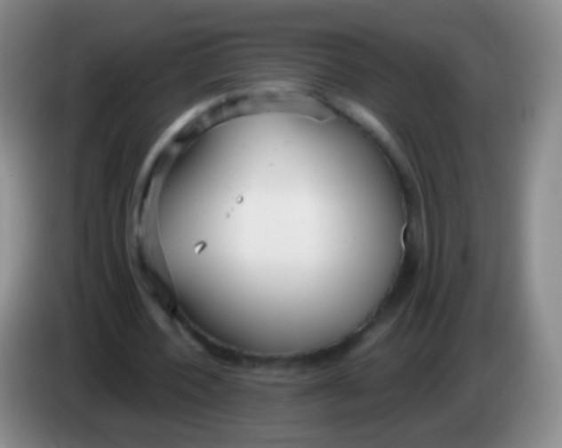 X0000083990532200703091847