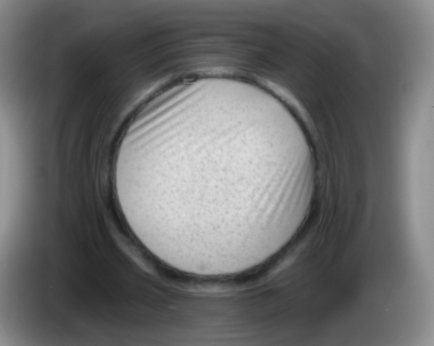 X0000083990533200703091847