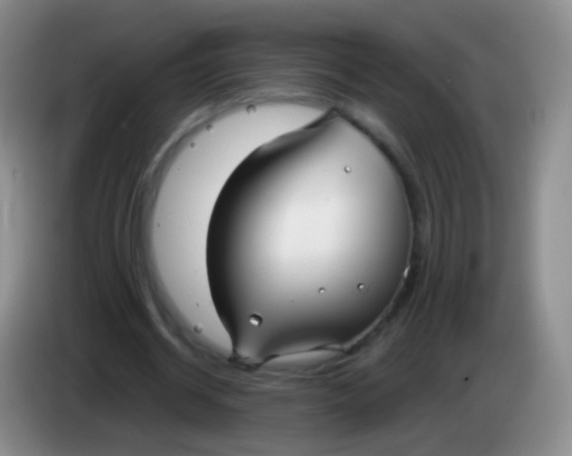 X0000083990534200703091847