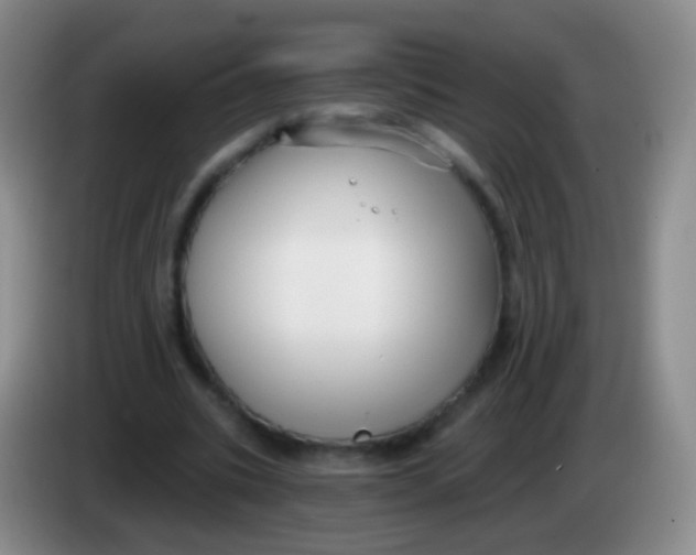 X0000083990535200703091847