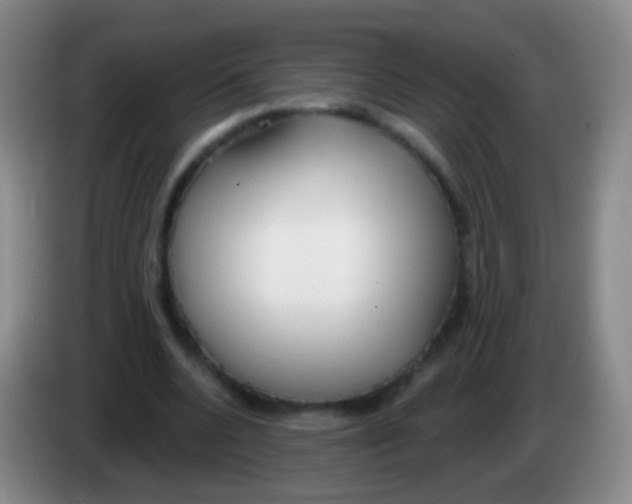 X0000083990536200703091847