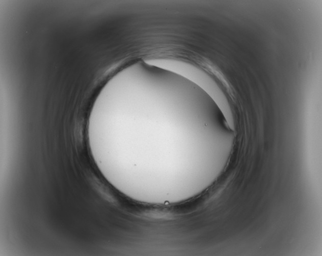 X0000083990537200703091847