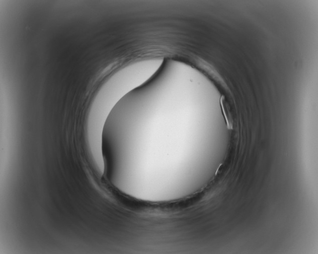 X0000083990538200703091847