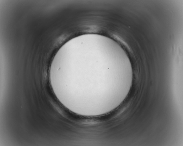 X0000083990541200703091847