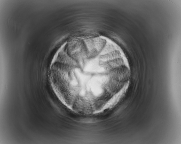 X0000083990542200703091847