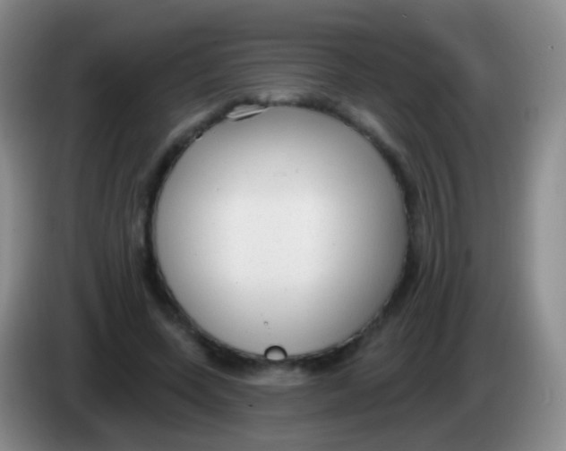 X0000083990543200703091847