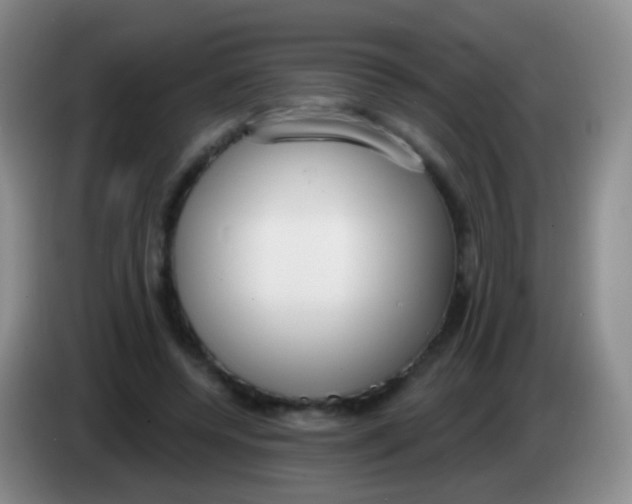 X0000083990544200703091847