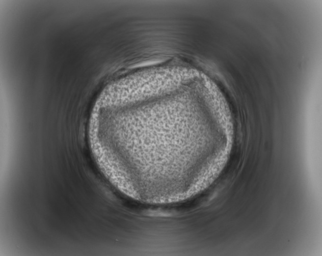 X0000083990545200703091847