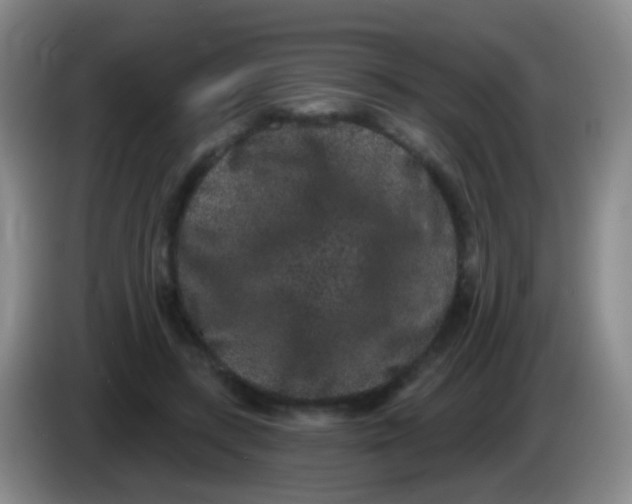 X0000083990547200703091847