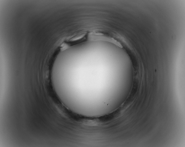 X0000083990548200703091847