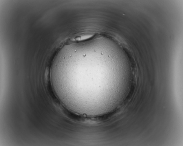 X0000083990550200703091847