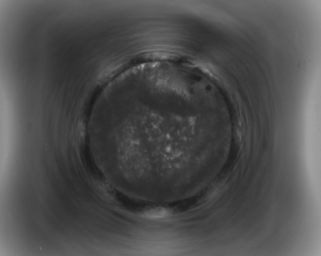 X0000083990551200703091847