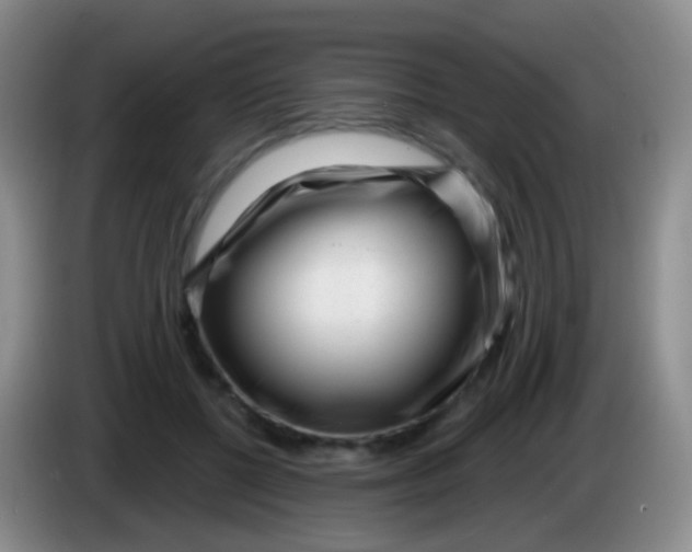 X0000083990552200703091847