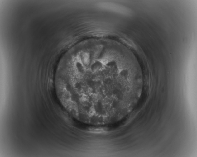 X0000083990553200703091847