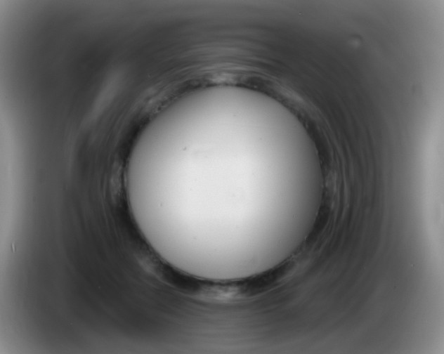 X0000083990554200703091847