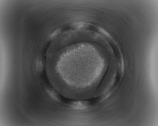 X0000083990558200703091847