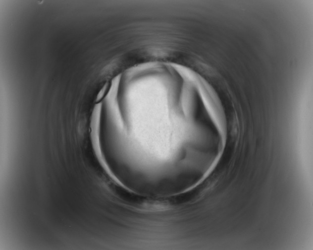 X0000083990559200703091847