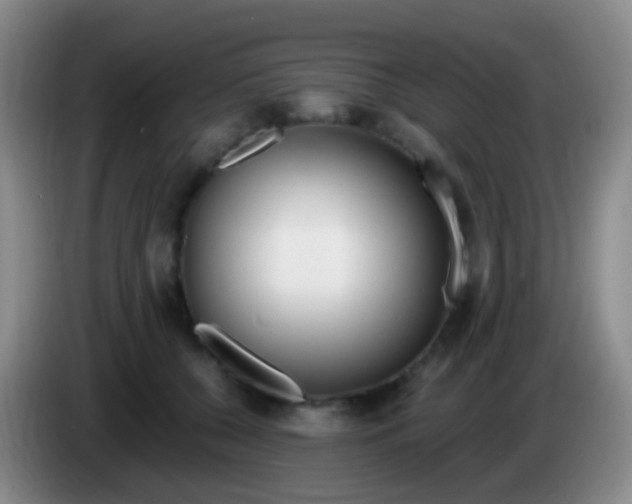 X0000083990560200703091847