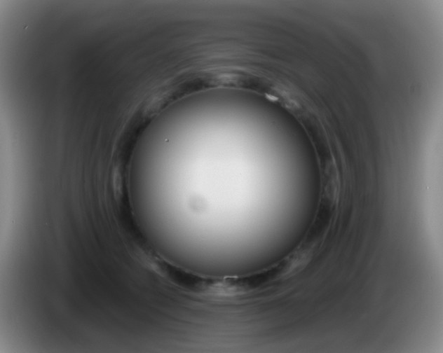 X0000083990562200703091847