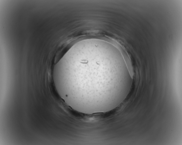 X0000083990564200703091847