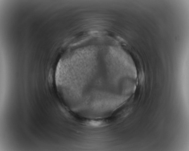 X0000083990570200703091848