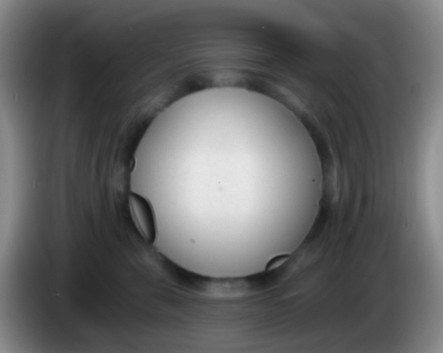 X0000083990571200703091848