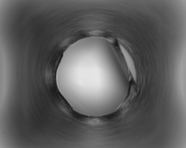 X0000083990572200703091848