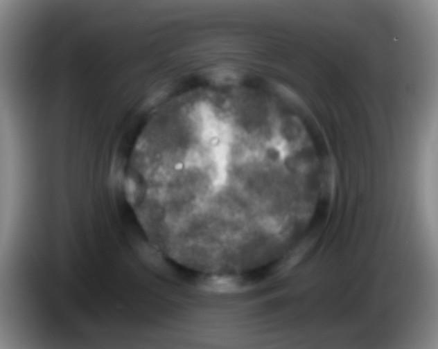 X0000083990573200703091848