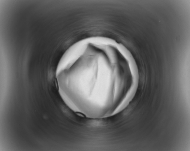 X0000083990574200703091848