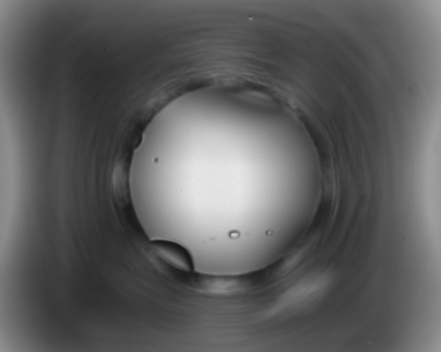 X0000083990575200703091848