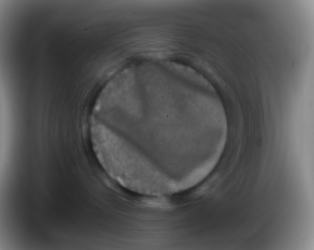 X0000083990576200703091848